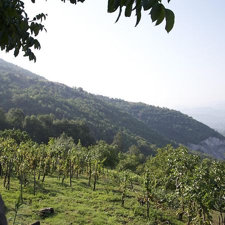 Fattoria Alvaneta Padula Buitenkant foto