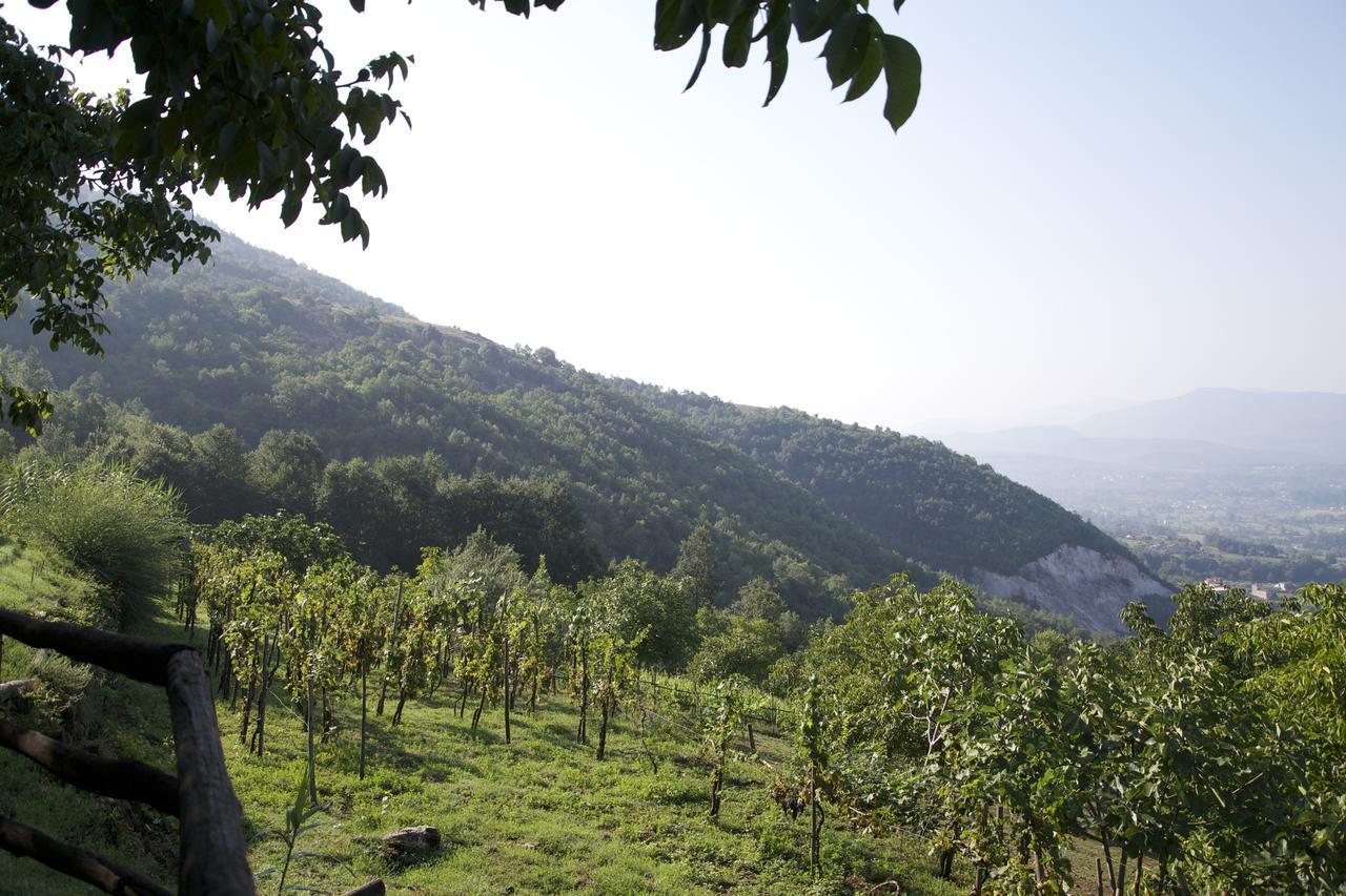 Fattoria Alvaneta Padula Buitenkant foto