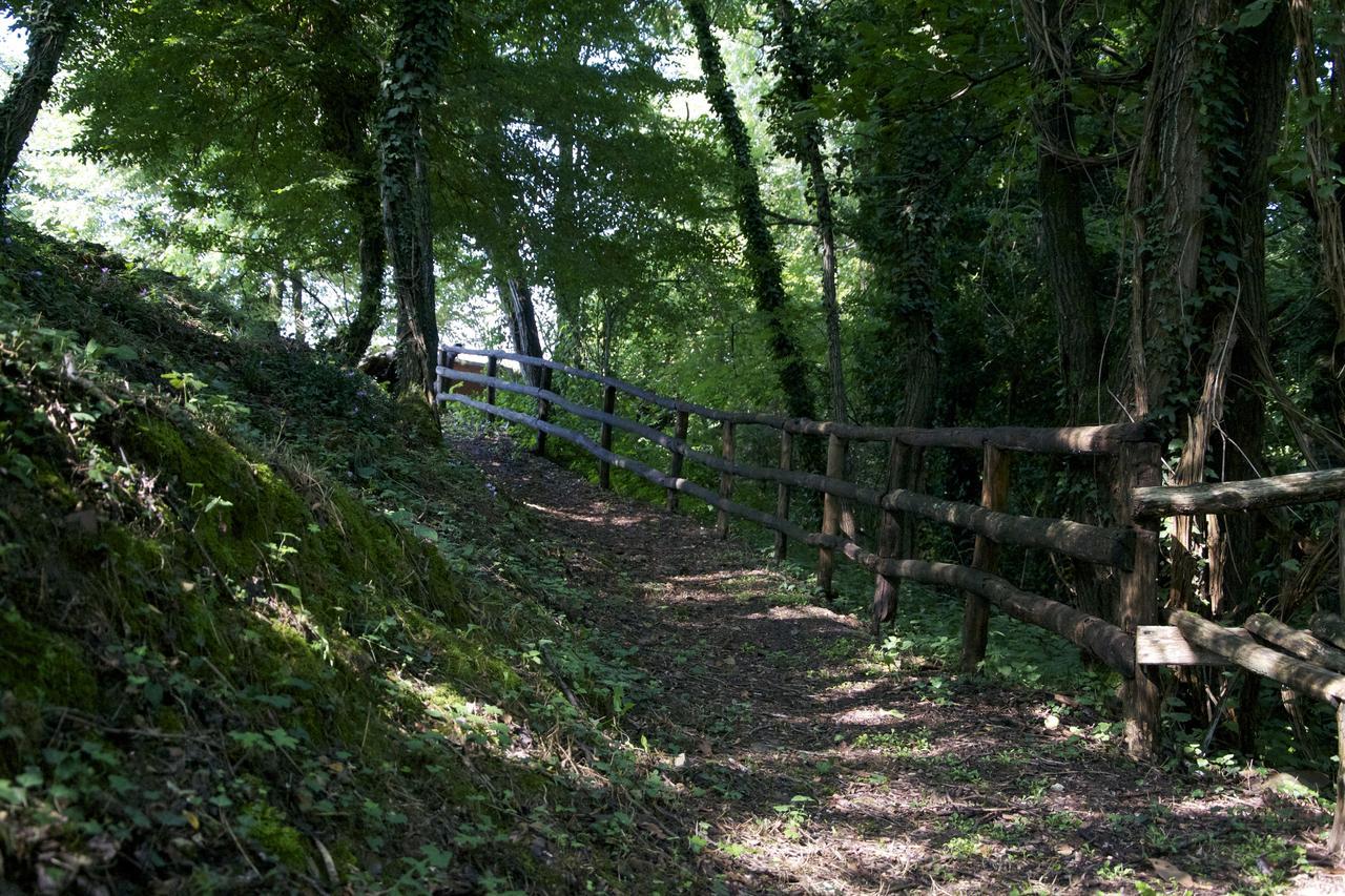 Fattoria Alvaneta Padula Buitenkant foto