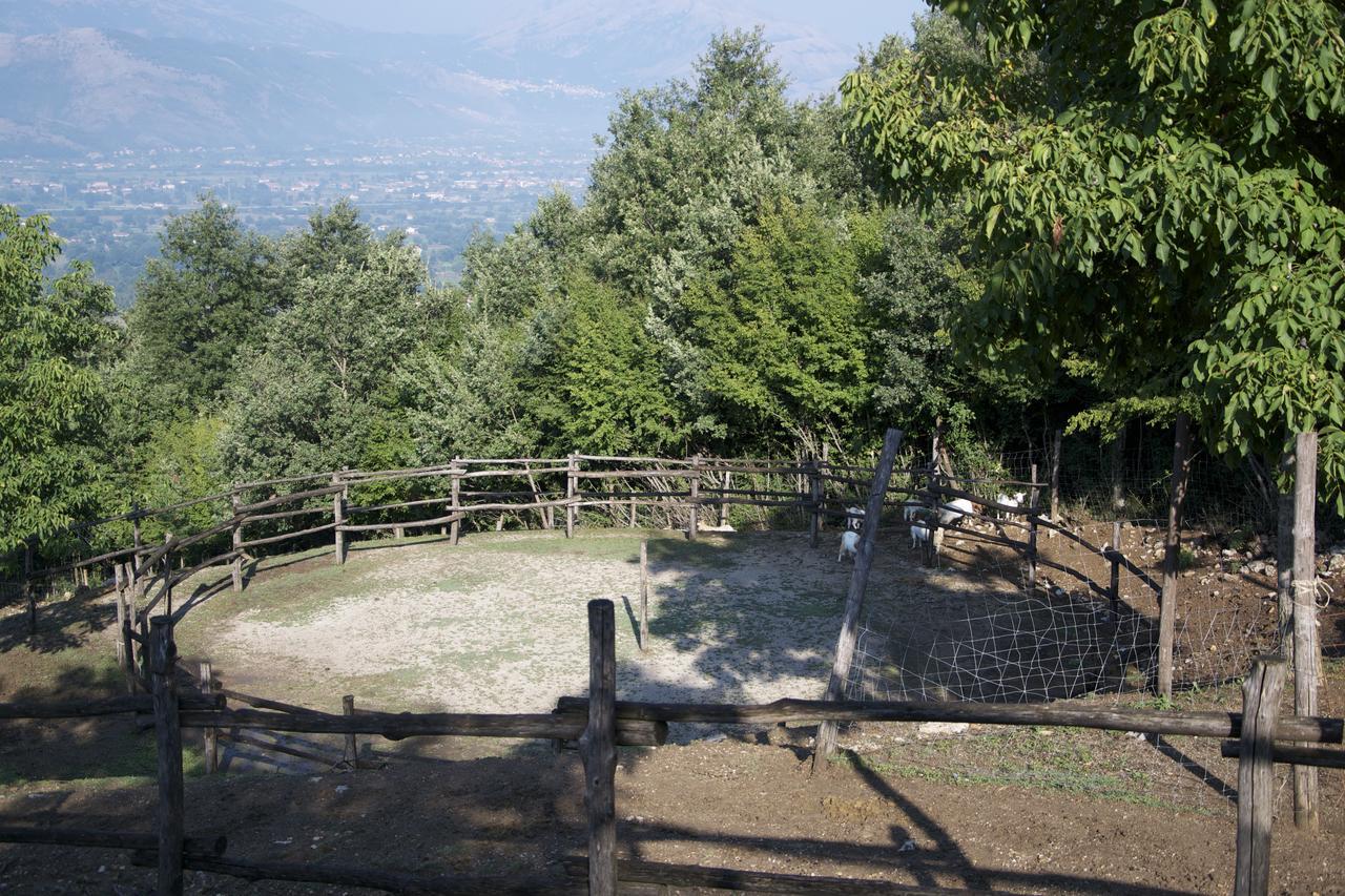 Fattoria Alvaneta Padula Buitenkant foto
