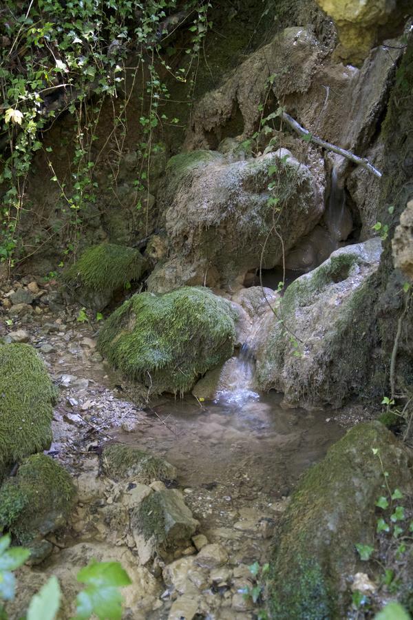 Fattoria Alvaneta Padula Buitenkant foto